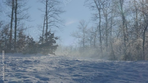 Fog over snow on Kraljevica park hill 4K 2160p UHD footage - Hills and forest near town of Zajecar covered with snow 4K 3840X2160 UHD video  photo