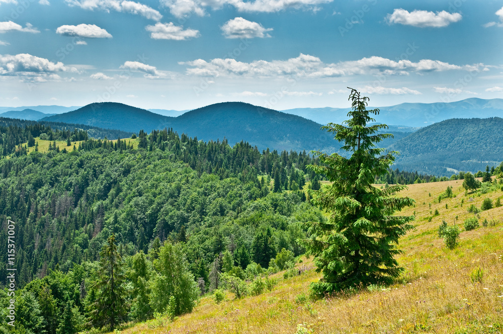 Beautiful mountains landscape