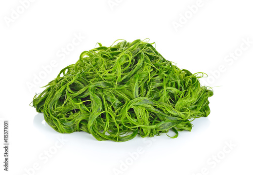 Freshwater algae (Spirogyra sp.) on white background photo