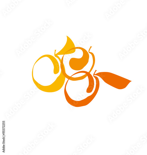 apricot fruit simple decorative symbol. vector illustration
