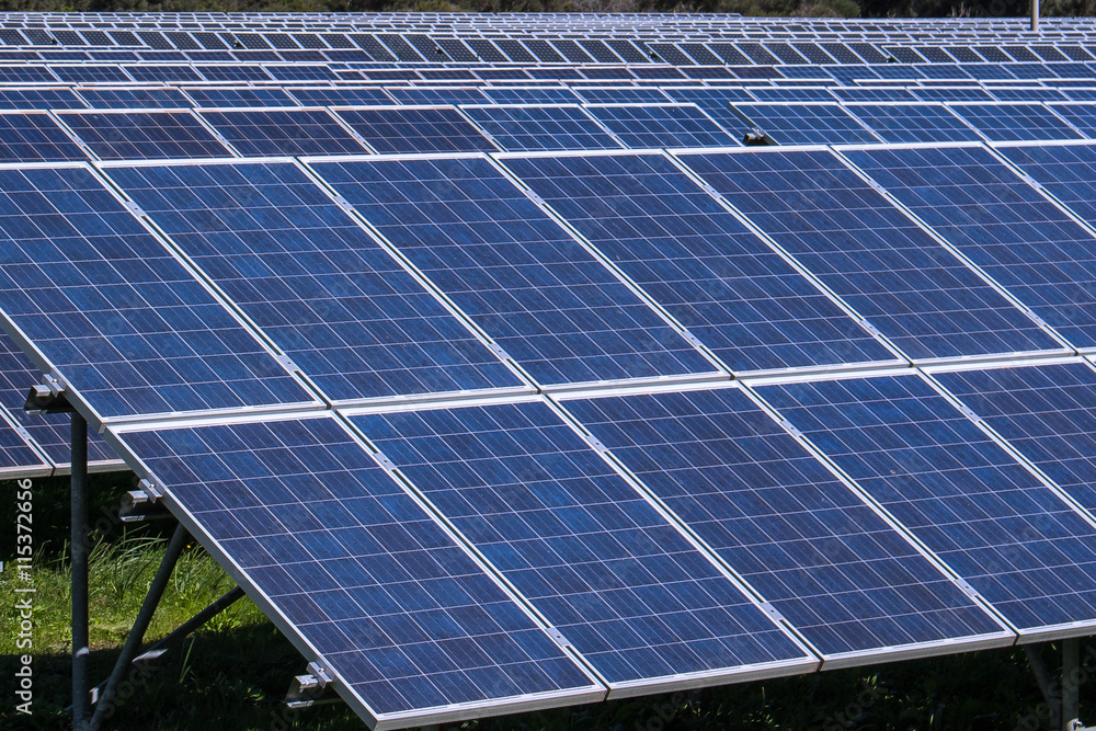 Solar panel Solar panel