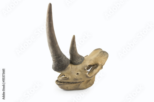 Decorative rhino skull