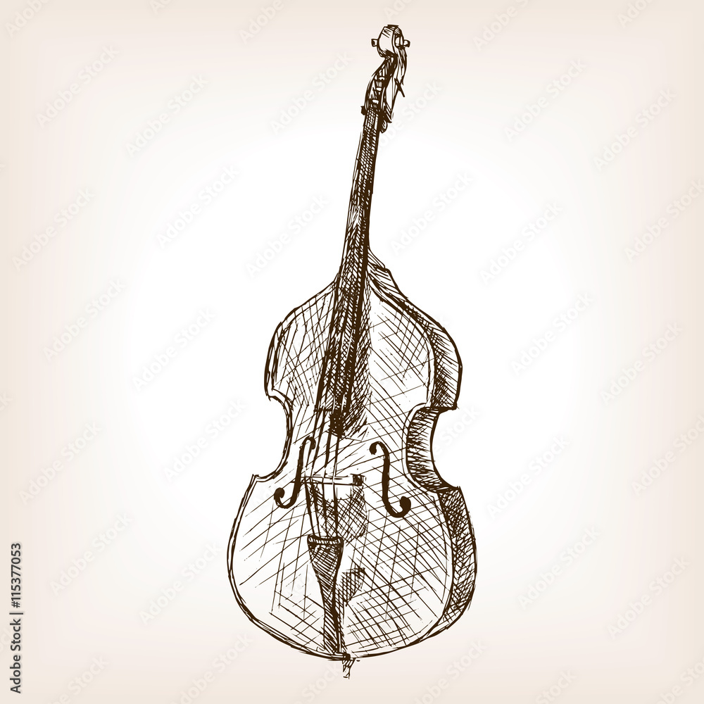 Double bass hand drawn sketch style vector vector de Stock Adobe Stock