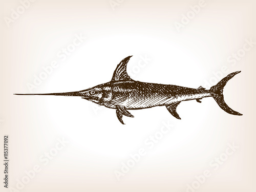 Swordfish hand drawn sketch vector