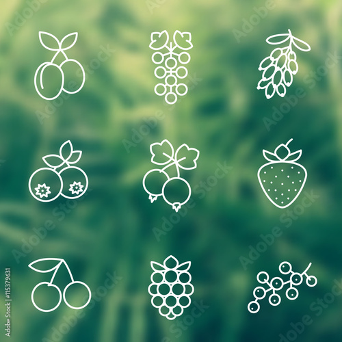 Berries line icons set, raspberry, blueberry, cherry, grape, strawberry, barberry, plums, vector illustration