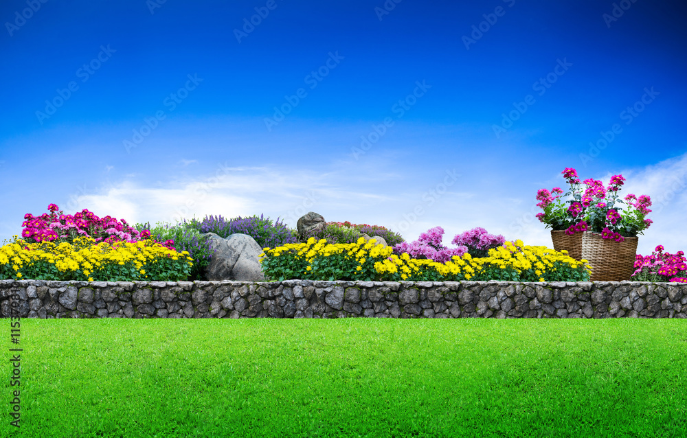 Flower garden. Green grass and stone fence on blue sky background, Garden  area Stock Photo | Adobe Stock