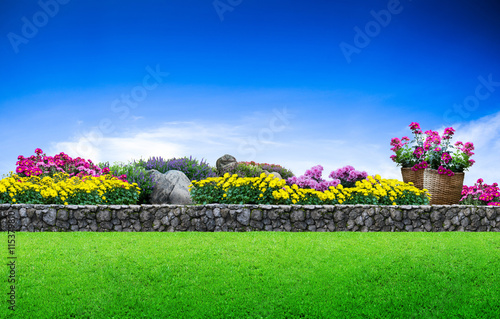 Fototapeta Naklejka Na Ścianę i Meble -  Flower garden. Green grass and stone fence on blue sky background, Garden area