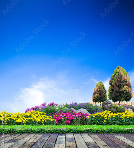 Fototapeta Naklejka Na Ścianę i Meble -  Beautiful garden on blue sky, Flower garden