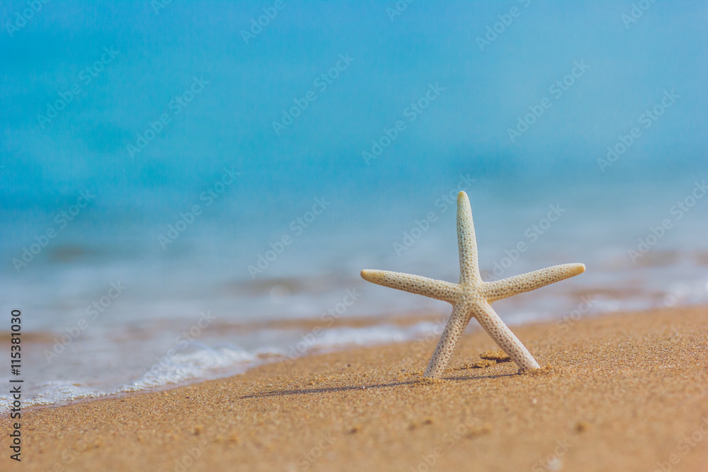 Starfish at the sandy summer beach with blue sea in the background with small waves. Travel, holiday and vacation in the summer tranquility getaway and relaxation concept. Starfish at the sandy summer beach with blue sea in the background with small waves. Travel, holiday and vacation in the summer tranquility getaway and relaxation concept.