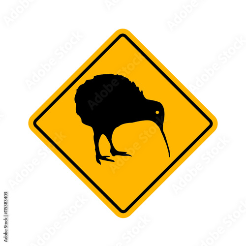 kiwi - apteryx