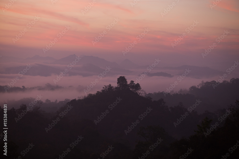 Fototapeta premium Fog mountain in the early morning sunrise