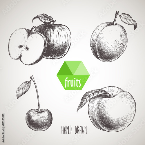 Hand drawn sketch style fruits set. Apple with slice of apple, apricot, cherry and peach. Organic food, farm fresh fruit. Vintage style illustration