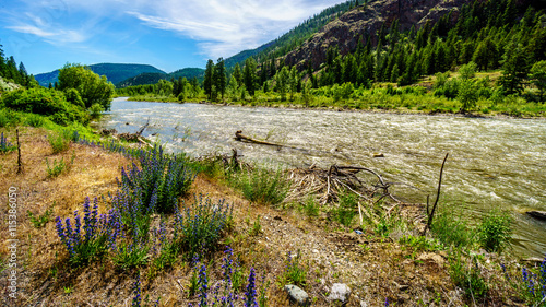 The Nicola River as it flows to the Fraser River along Highway 8 from the town of Merritt to the Fraser River at the town of Spences Bridge in British Columbia, Canada