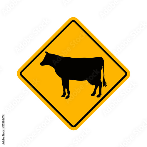 cow - kuh - rind - hausrind