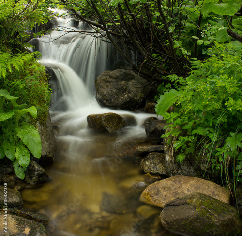 Mountain stream river. Small waterfall in summer forest.