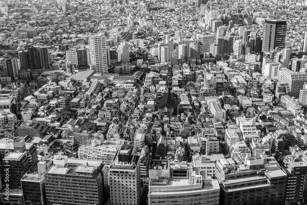 Black and White, Aerial view Tokyo residence area, cityscape background