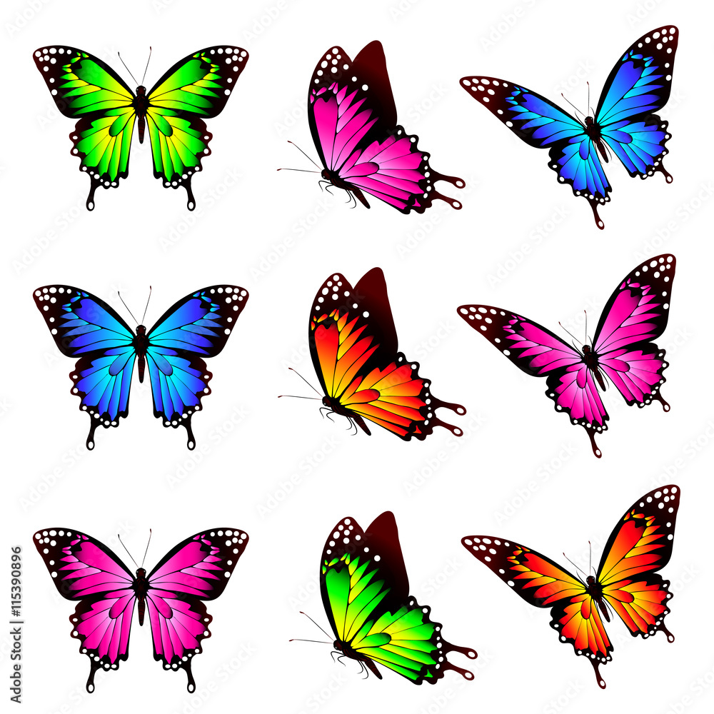 Obraz premium butterflies design