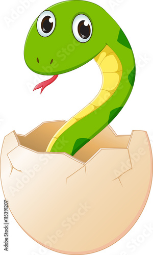 cute cartoon  snake hatching