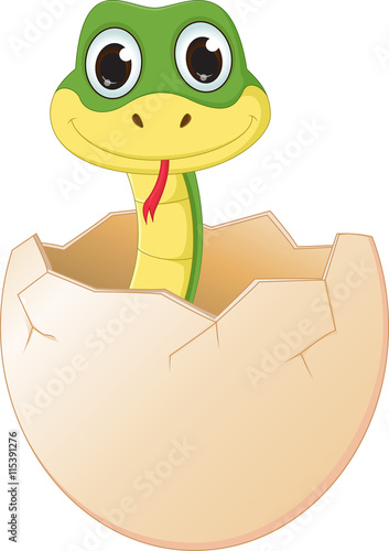 cute cartoon  snake hatching