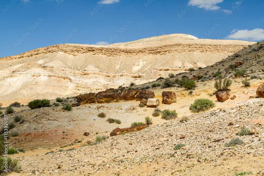The Makhtesh Gadol in Negev desert, Israel