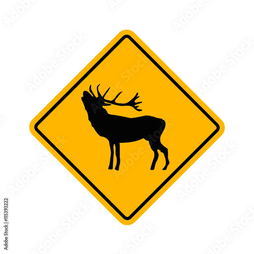 deer - hirsch