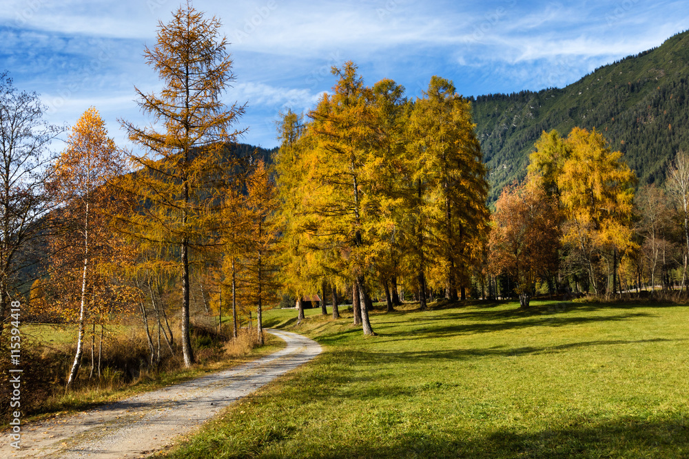Fototapeta premium Idyllic mountain scenery in the Alps with hiking trail. Mieminger plateau, Austria, Tyrol.