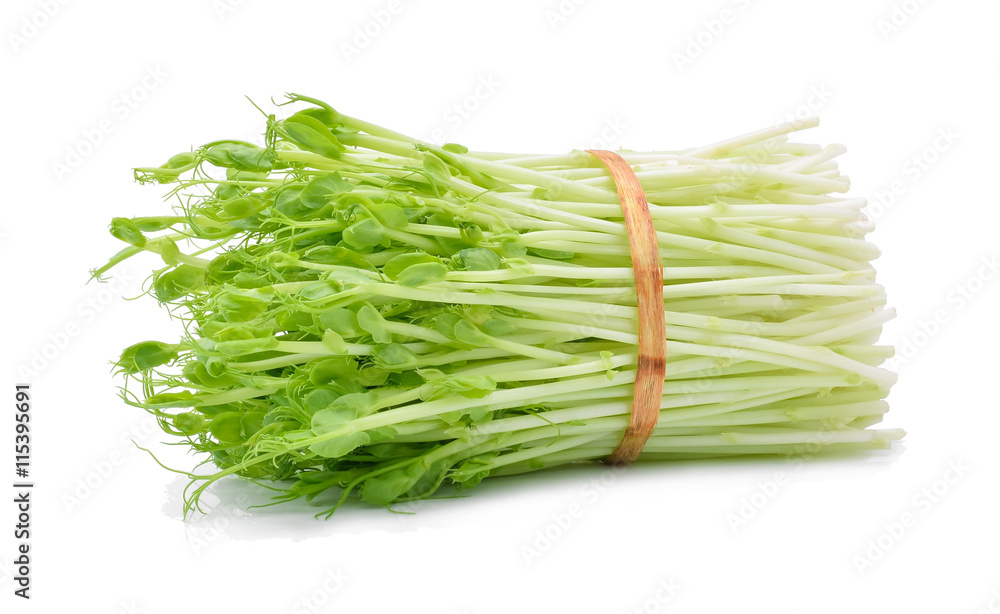 Snow pea sprouts on white background Snow pea sprouts on white background
