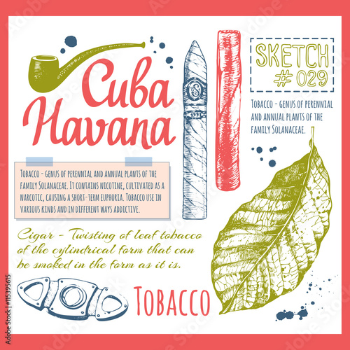 Sketchbook sheet with cuban cigar and tobacco leaves.