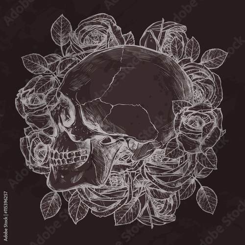 Skull And Roses In Profile In Profile