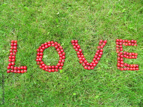 Słowo "LOVE" z czerwonych, dojrzałych wiśni na zielonej trawie