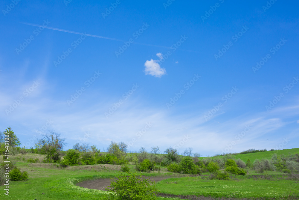 Obraz premium Summer landscape with green grass, road and clouds