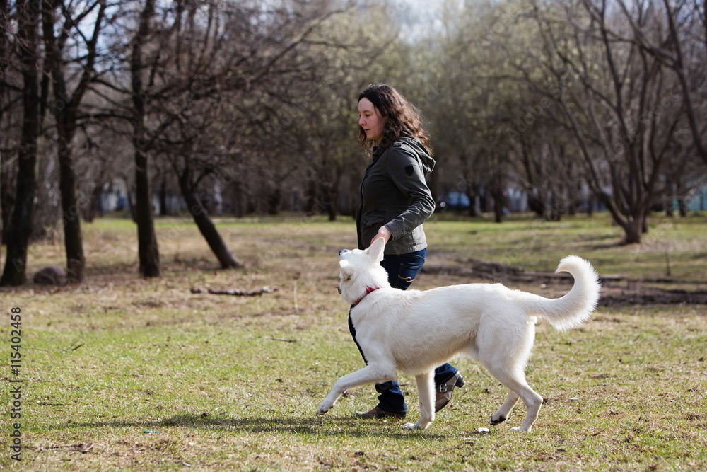 Woman playing with white Swiss shepherd dog Woman playing with white Swiss shepherd dog