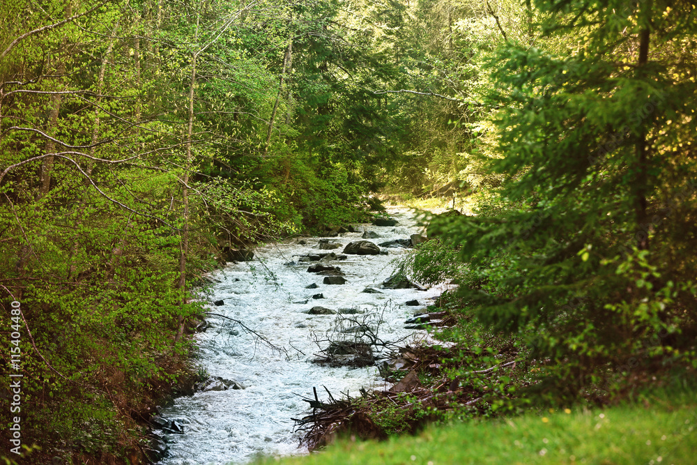 Wide stream in mountain forest Wide stream in mountain forest