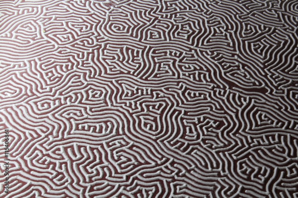Labyrinthe en sel