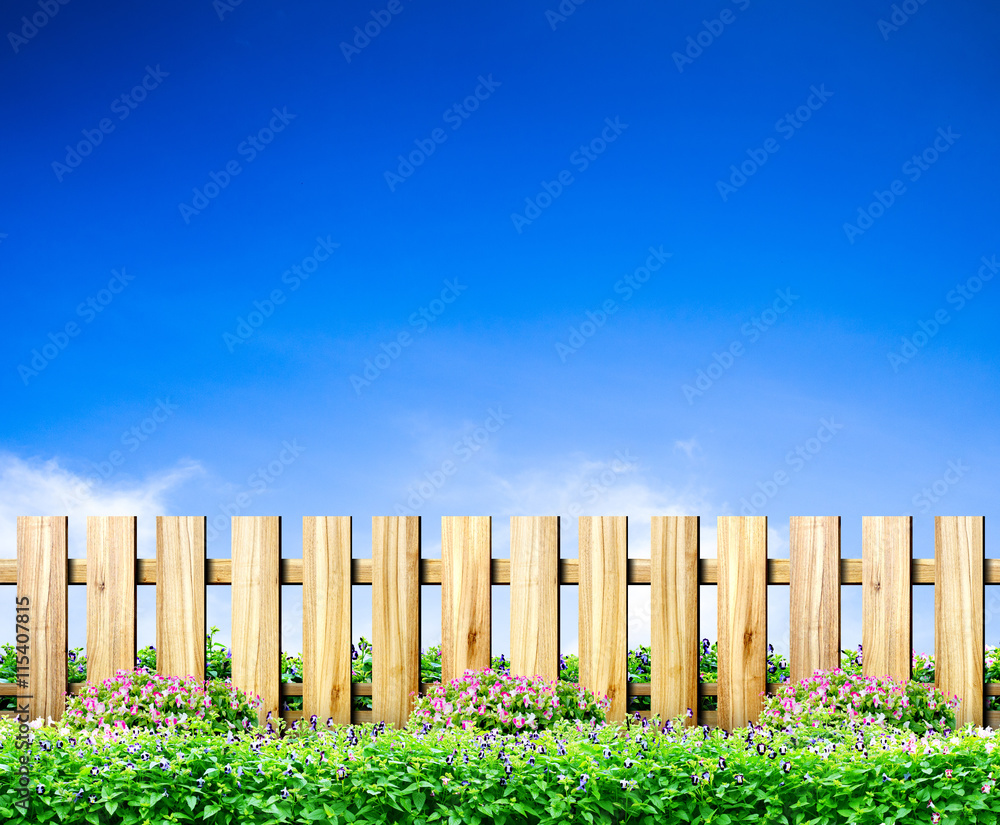 Fototapeta premium Green grass and wood fence on blue sky background