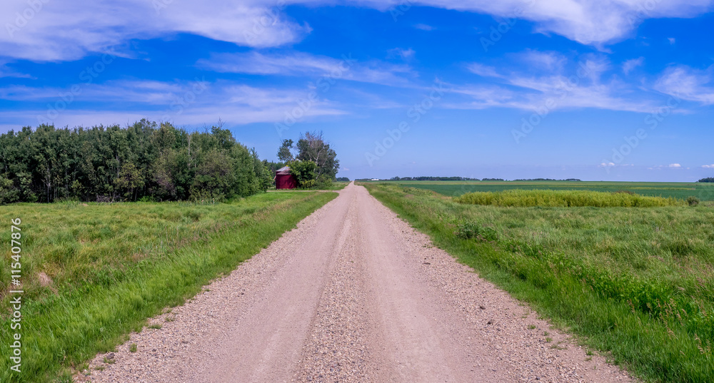 A country road in Saskatchewan in the summer.
