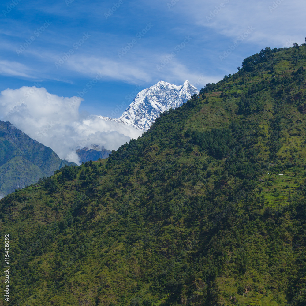 Alpine landscape with forest in Annapurna area, Nepal.