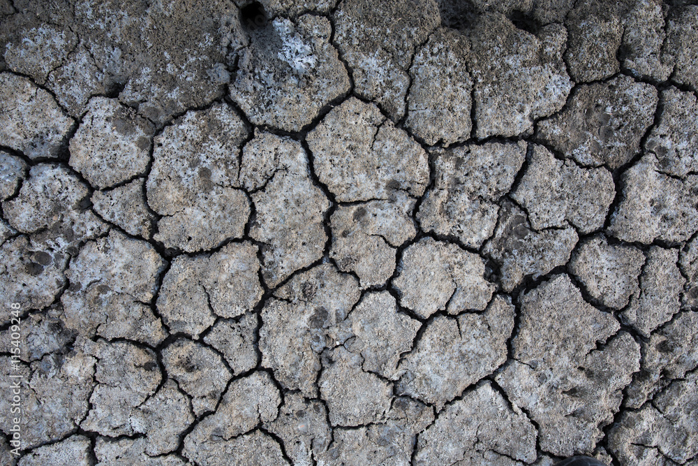 Background of dry cracked soil dirt or earth during drought Background of dry cracked soil dirt or earth during drought