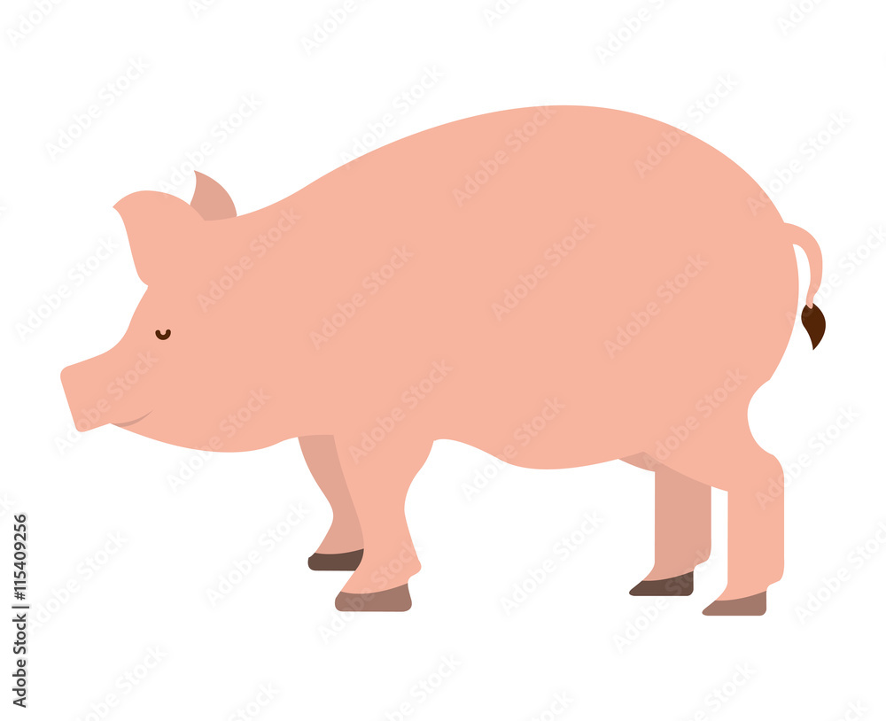pig farm isolated icon design pig farm isolated icon design