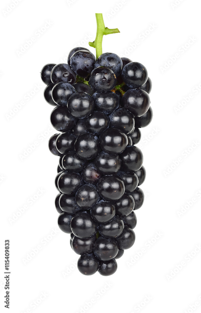 Black grape isolated on the white background Black grape isolated on the white background