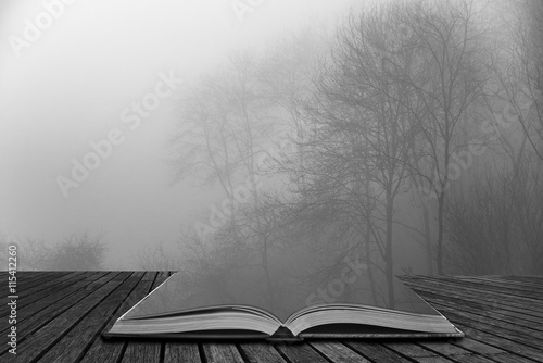 Moody dramatic foggy forest...