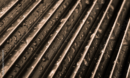 Sepia toned abstract palm leaf with water drops on it. © gmgadani
