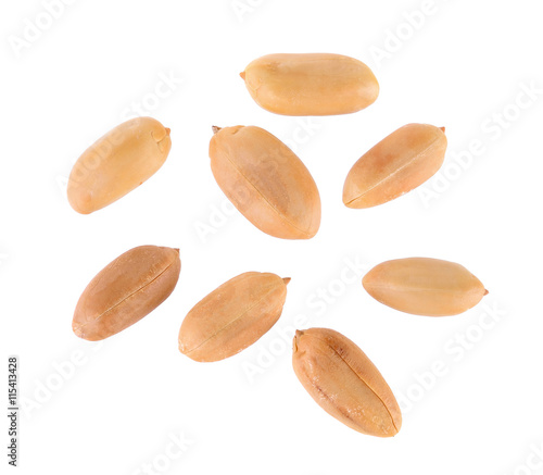 peanuts seeds isolated on white background