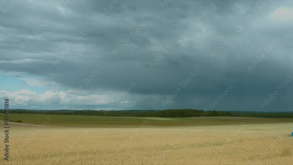 WIDE FIXED shot of rain clouds flying away from the camera over the wheat field 