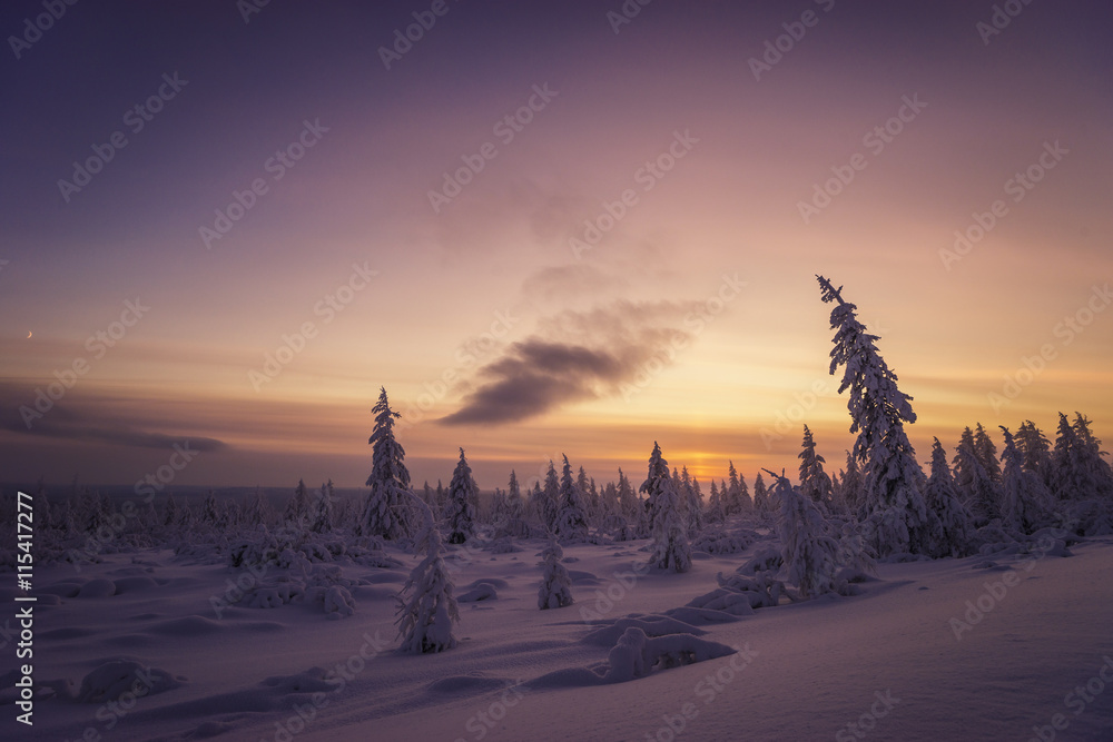 Winter Evening Landscape with forest, cloudy sky, sun and trees 
