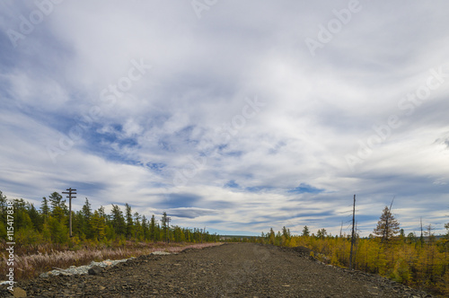 Summer day landscape with road  forest and clouds on the blue sky. 