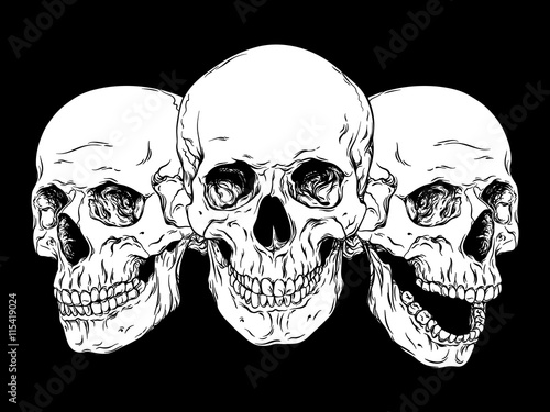 Hand drawn line art anatomically correct human skulls set isolated vector illustration