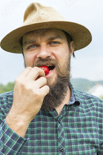 Young farmer in a strawberry field tasting a red fresh picked st