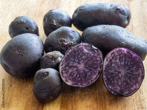 Blue potatoes fresh from the garden photo