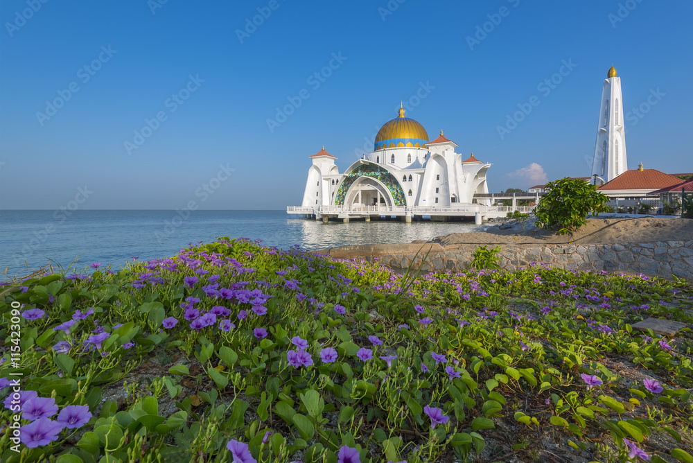The Vibrant Color of Shah Alam Mosque / Salahuddin Abdul Aziz Shah mosque during dramatic